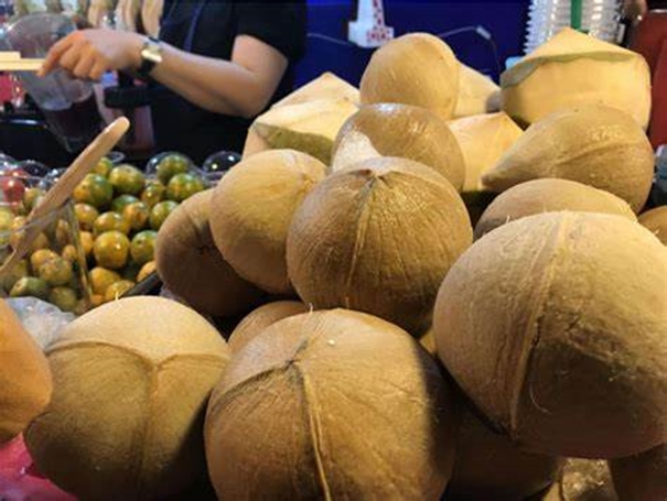 椰子進口報關需要什么資質以及進口流程是怎樣的