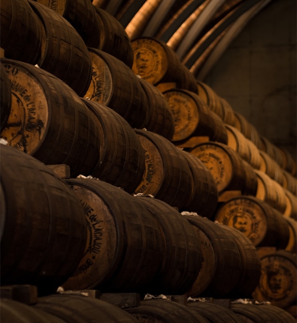 廈門智利葡萄酒進口代理清關公司