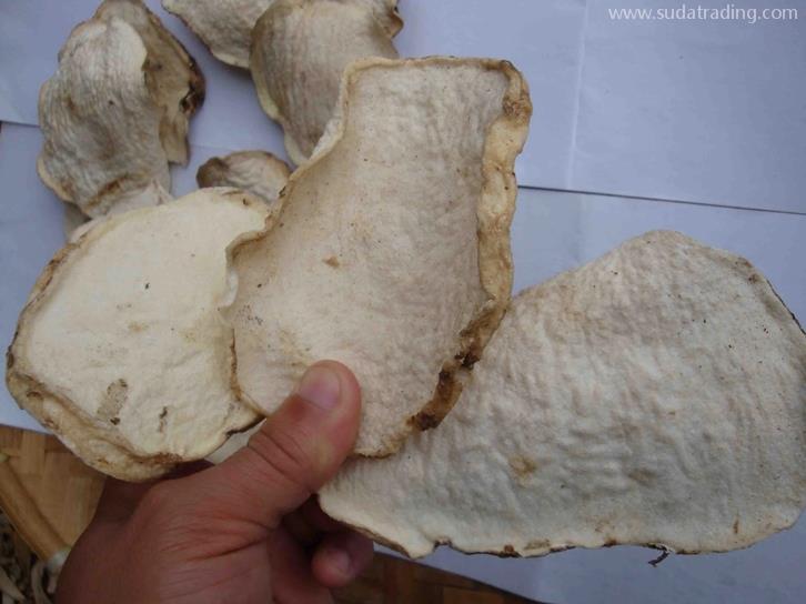 進(jìn)口魔芋干片報關(guān)報檢要求-超齊全