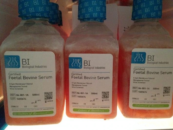 生物制品進口清關代理需要多長時間