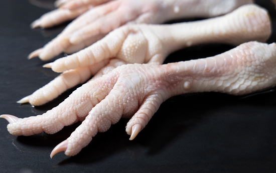 雞爪代理進口清關需要注意什么?雞爪代理進口公司