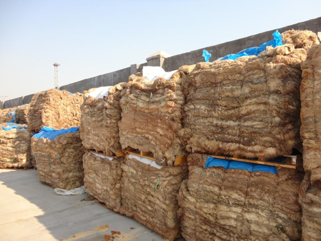 鹽濕皮進口報關一站式流程，鹽濕皮進口報關這樣做