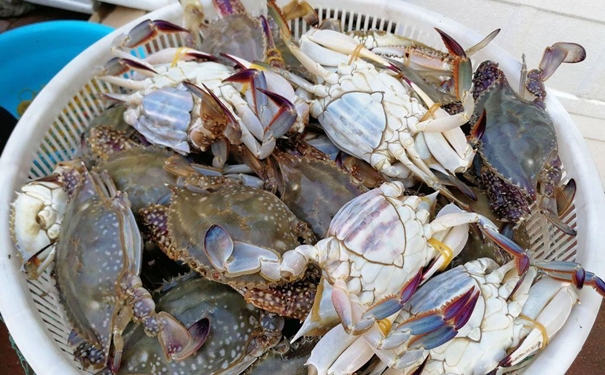 冷凍蟹進口報關一般貿易流程