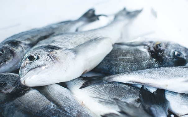 冷凍魚進(jìn)口報關(guān)注意事項有這些，參考一下