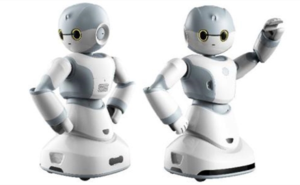 【機器人進口報關代理公司】告訴你機器人進口流程