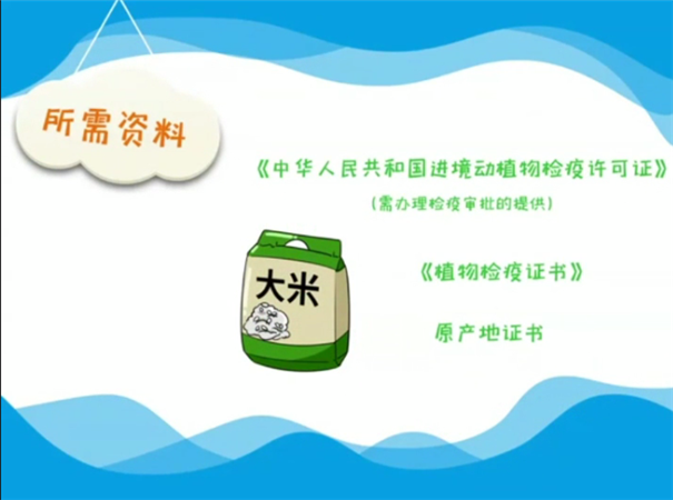 海關總署：解讀│進口食品報關指南