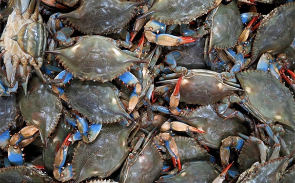 非洲【進口青蟹清關代理】的流程，一般貿易進口青蟹