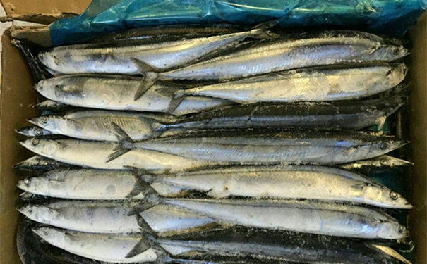 在嗎?【進(jìn)口冷凍海鮮清關(guān)代理】的流程請查收