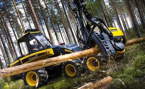 【進口伐木機清關代理】的流程，一般貿易進口伐木機