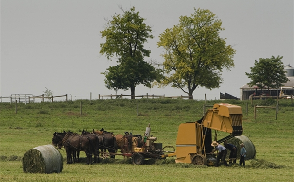 二手農用收割機進口報關報檢要點?二手收割機能進口嗎?