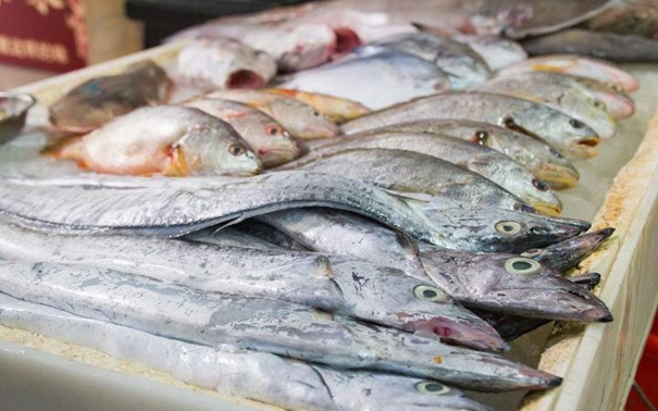 青島進(jìn)口水產(chǎn)品報(bào)關(guān)公司