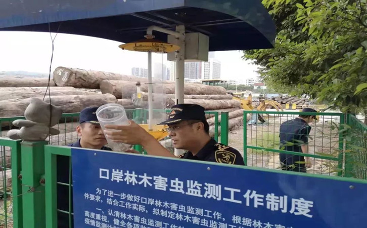 原木木材進口報關代理操作流程以及報關時間