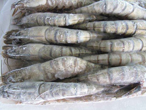 這是一家有著15年海鮮進口報關經驗的代理公司