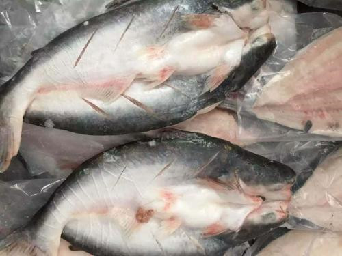 越南巴沙魚進(jìn)口報(bào)關(guān)代理流程手續(xù)以及費(fèi)用