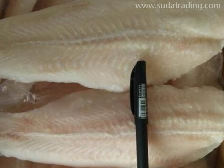 廣東速達供應(yīng)鏈代理冷凍巴沙魚深圳機場報關(guān)資料