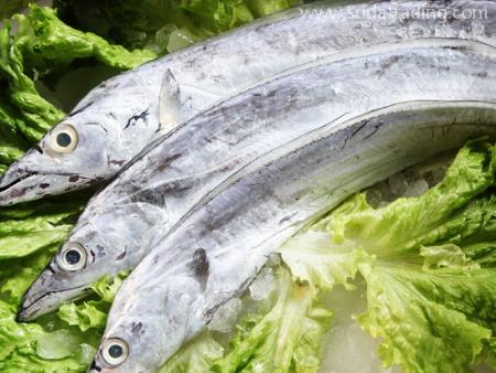 東莞進(jìn)口食品報關(guān)之帶魚清關(guān)資質(zhì)