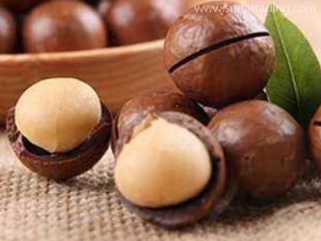 堅果進(jìn)口機(jī)場清關(guān)代理注意事項與流程