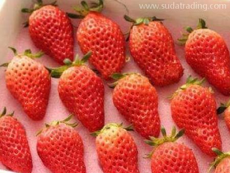 水果進(jìn)口深圳專業(yè)報關(guān)公司廣東速達(dá)供應(yīng)鏈！