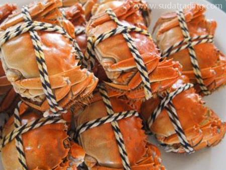 螃蟹進口機場海關報關需要什么資料？