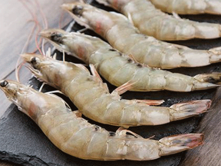 南美白蝦進口空運報關要記住這個流程！