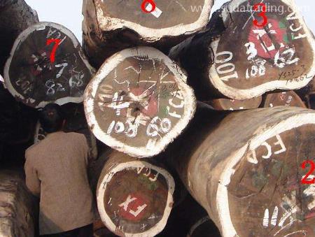 木材進口清關注意事項有這幾點，要留心！