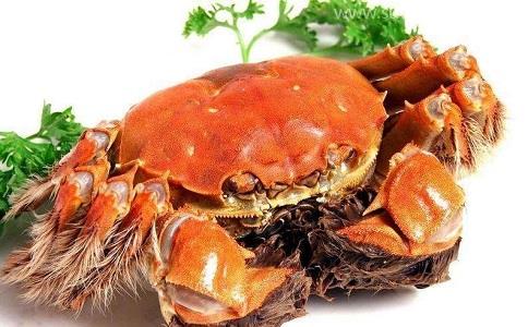 一站式代理螃蟹進(jìn)口報(bào)關(guān)清關(guān),快速通關(guān)
