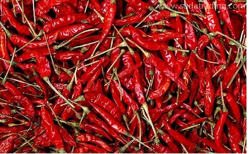 印度辣椒干進口報關專業操作清關通關快