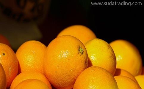 柑橘進口報關找這家專業水果清關公司能省錢!