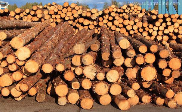 了解木材進口報關注意事項避雷區