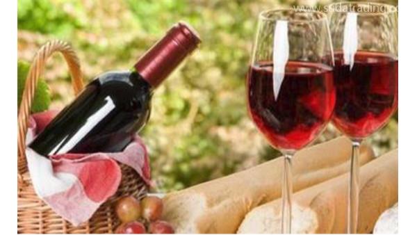 如何從國外進口紅酒？