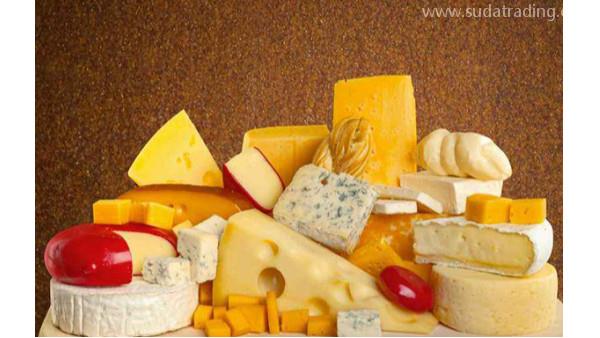 一看就懂的奶酪進口