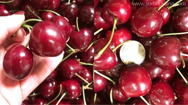 如何進口車厘子報關？全在這里了~