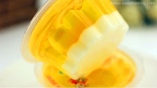 果凍進口報關流程——東莞進口報關公司解析