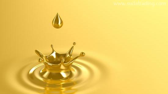 潤滑油進口報關注意事項，深圳潤滑油進口報關公司解析