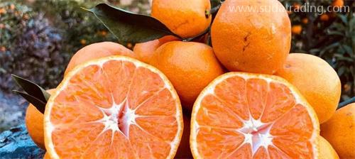 部分動(dòng)植物產(chǎn)品規(guī)范申報(bào)要素調(diào)整詳解