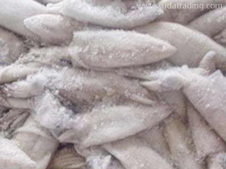 深圳鹽田進(jìn)口清關(guān)冷凍魷魚報(bào)檢要求！