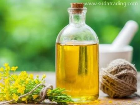 一般貿(mào)易菜籽油廣州老港進口清關(guān)服務指南！