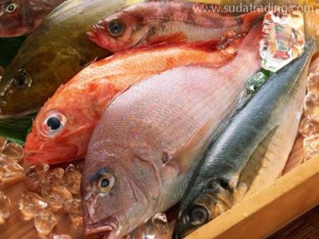 水產(chǎn)品白云機場進口報關(guān)代理服務(wù)流程！