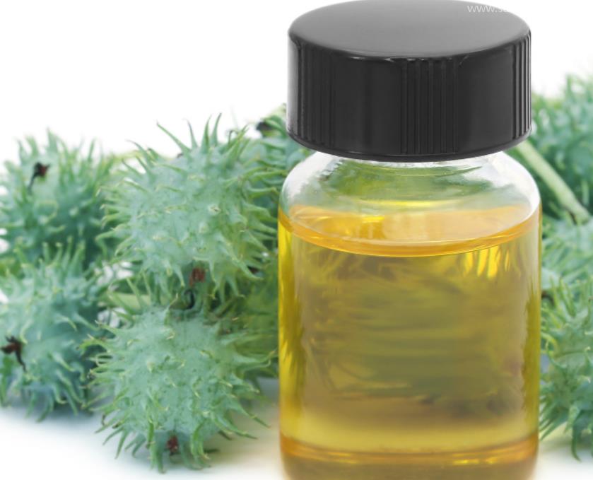 進(jìn)口摩洛哥阿甘油報關(guān)的流程和所需資料