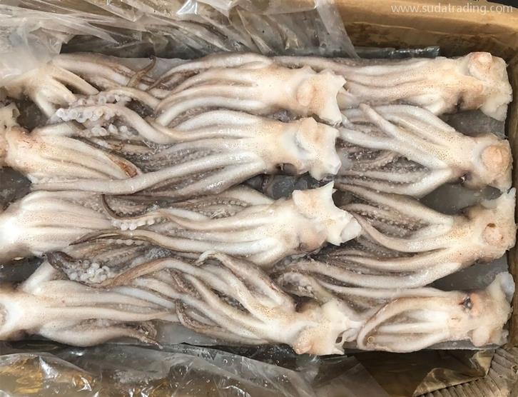 冷凍魷魚進口報關的注意事項以及流程手續