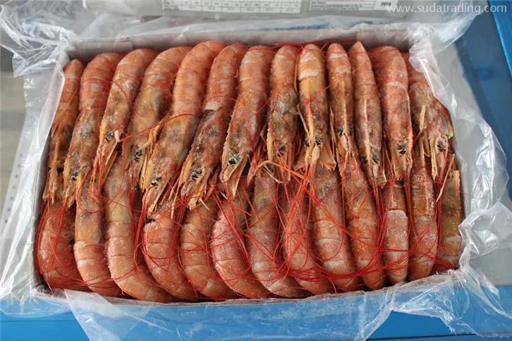 進口印度尼西亞海鮮報關的關稅以及費用