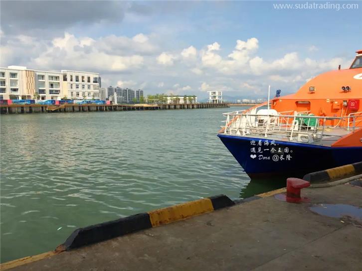 蛇口港口進口報關行哪家好?