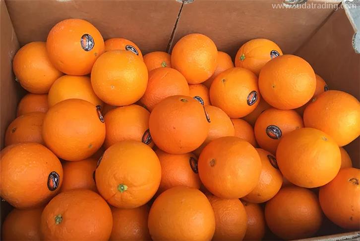 上海黃浦報關(guān)行推薦哪家比較好?