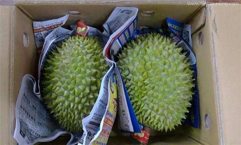 越南榴蓮進口報關國內外要提供的資料榴蓮報關清關代理