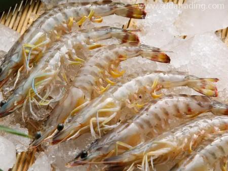 水產品深圳機場進口清關代理資料如下！