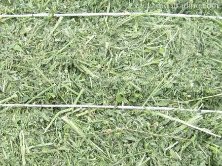 苜蓿草佛山進口報關代理注意這幾點！