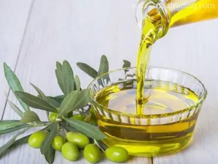 橄欖油佛山進口報關代理特別注意事項