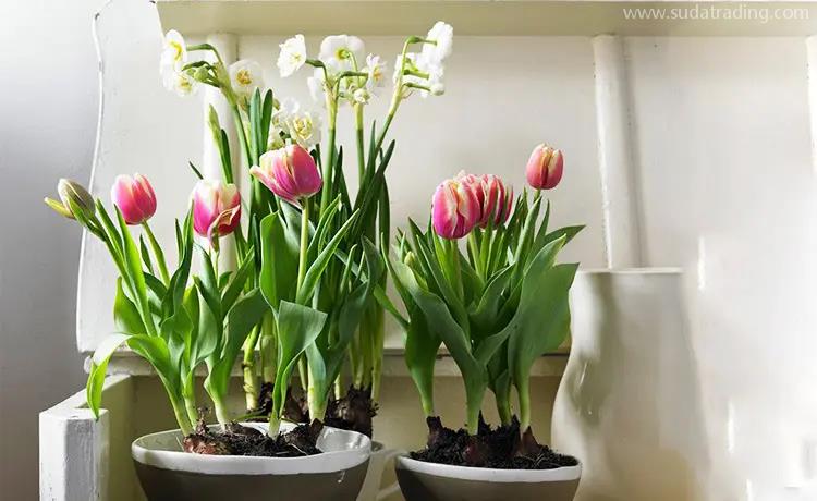 廣州機場進口染料報關手續和清關流程【進口指南】