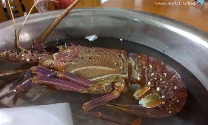 進口冷凍澳洲龍蝦報關國外要提供什么單證資料？