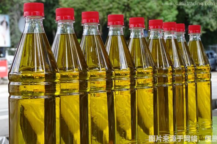 進口澳大利亞橄欖油報關門到門詳細流程手續